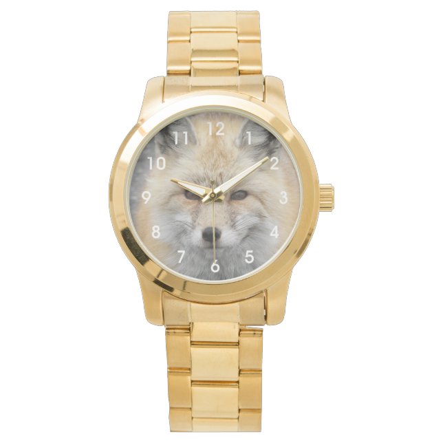 かわいい赤いキツネ野生生物写真 腕時計 (正面)