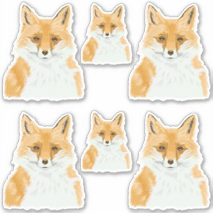かわいい赤いキツネ – 透明の6倍のカスタムカット。 シール