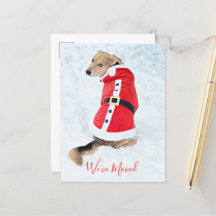 かわいい赤いサンタスーツを着た、動く予算のあるクリスマスドッグ