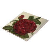 かわいい赤いバラのヴィンテージ タイル (側面)