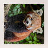 かわいい赤いパンダのポートレート ジグソーパズル (横)