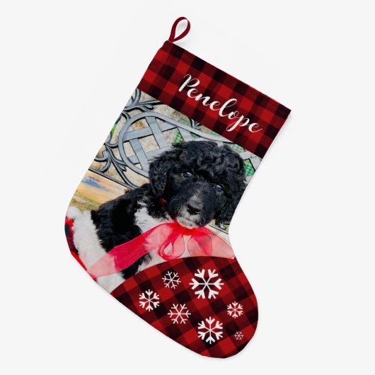 かわいい赤い格子状カスタムの犬の名前 ラージクリスマスストッキング (正面 (吊り時))