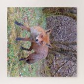 かわいい赤い狐の冬の野生動物写真 森林 ジグソーパズル (横)