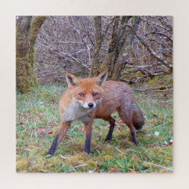 かわいい赤い狐の冬の野生動物写真 森林 ジグソーパズル