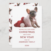 かわいい赤い白のブルドッグフランスのサンタハットクリスマス シーズンカード (正面/裏面)