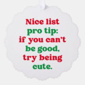 かわいい赤い緑のおもしろいペットの写真クリスマス オーナメントカード (正面)