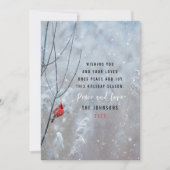 かわいい赤い(鳥)ショウジョウコウカンチョウと雪のクリスマス シーズンカード (正面)