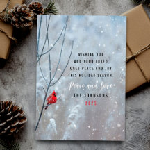 かわいい赤い（鳥）ショウジョウコウカンチョウと雪のクリスマス