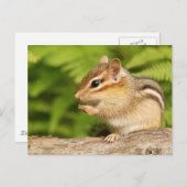 かわいい赤ちゃんチリスがおやつを食べている ポストカード (正面/裏面)