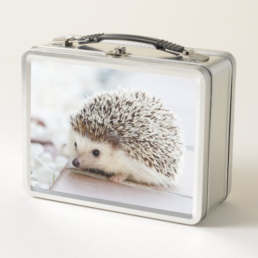 かわいい赤ちゃんハリネズミの写真 メタルランチボックス (正面)