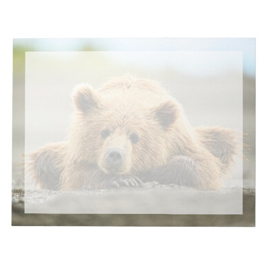 かわいい赤ちゃん動物たち | 海岸のヒグマの子熊 ノートパッド (正面)