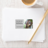 かわいい赤ちゃん動物オランウータン ラベル (インサイチュ)