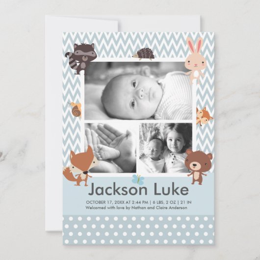 かわいい赤ちゃん動物少年の写真誕生のお知らせ 案内状 (正面)