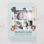 かわいい赤ちゃん動物少年の写真誕生のお知らせ 案内状 (正面/裏面)
