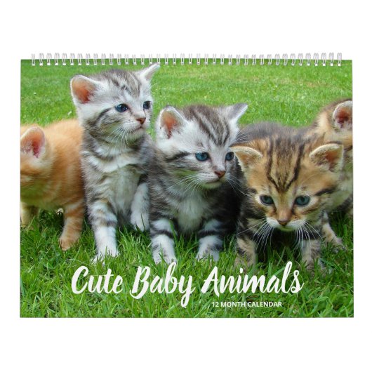 かわいい赤ちゃん動物 カレンダー (カバー)
