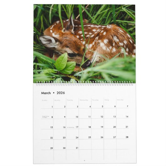 かわいい赤ちゃん動物 カレンダー (3月 2026)
