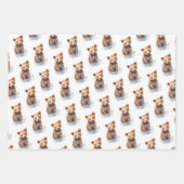 かわいい赤ちゃん動物 ラッピングペーパーシート (正面3)