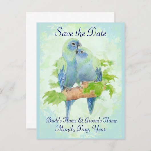 かわいい赤ん坊の熱帯結婚オウムの鳥のカップル 案内ポストカード (正面/裏面)