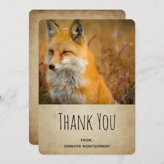 かわいい赤キツネワイルダネス自然写真ありがとう サンキューカード (正面/裏面)