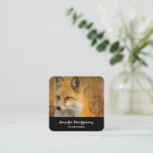 かわいい赤キツネワイルダネス自然写真広場 スクエア名刺 (スタンド正面)