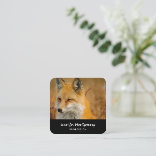 かわいい赤キツネワイルダネス自然写真広場 スクエア名刺 (スタンド正面)
