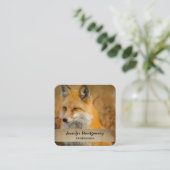 かわいい赤キツネワイルダネス自然写真 スクエア名刺 (スタンド正面)