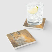 かわいい赤キツネワイルダネス自然写真 ストーンコースター (横)