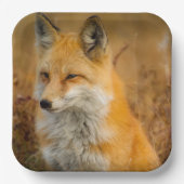 かわいい赤キツネワイルダネス自然写真 ペーパープレート (正面)