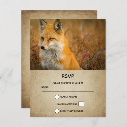 かわいい赤キツネワイルダネス自然写真 出欠カード (正面/裏面)