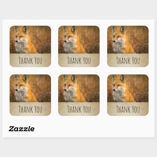 かわいい赤キツネワイルド自然写真ありがとう スクエアシール (シート)