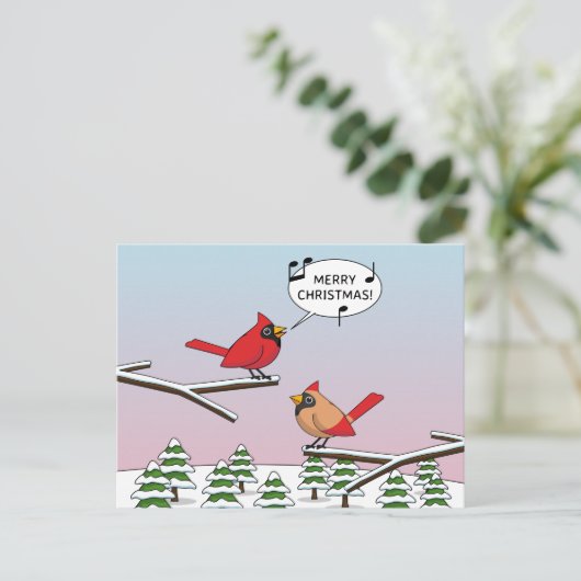 かわいい赤(鳥)ショウジョウコウカンチョウがメリークリスマスを歌う シーズンポストカード (スタンド正面)