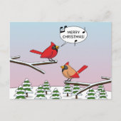 かわいい赤(鳥)ショウジョウコウカンチョウがメリークリスマスを歌う シーズンポストカード (正面)