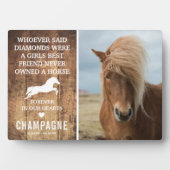 かわいい農村風の馬のメモリアル写真の記念品 フォトプラーク (正面)