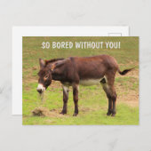 かわいい退屈ロバはがき ポストカード (正面/裏面)