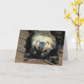 かわいい逆さ考えるの犬のYouカード カード (黄色い花)