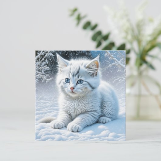 かわいい遊白猫の雪 (スタンド正面)