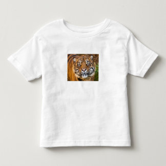 かわいい野生のトラの写真 子供用Tシャツ トドラーTシャツ