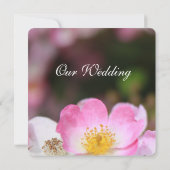 かわいい野生のピンクのバラの花の結婚式の招待状 招待状 (裏面)