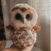 かわいい野生のフクロウたち : 秋の森 キャンバスプリント