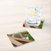 かわいい野生のリス（英国） スクエアペーパーコースター (インサイチュ)