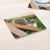 かわいい野生のリス（英国） スクエアペーパーコースター (アングル)