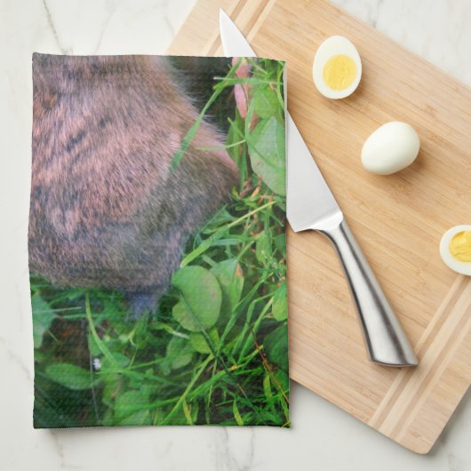 かわいい野生の茶色いウサギの野生動物  キッチンタオル (四つ折り)