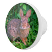 かわいい野生の茶色のウサギの野生動物 セラミックノブ (右)