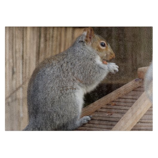 かわいい野生リスアップ カッティングボード (正面)