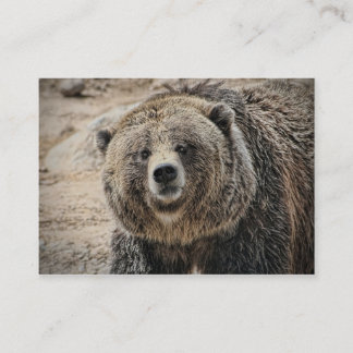 かわいい野生動物の灰色グマの顔 名刺