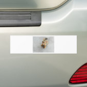 かわいい野良猫の子猫 バンパーステッカー (車上)