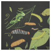 かわいい野菜 ファブリック (見本)