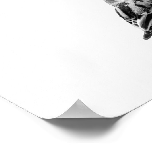 かわいい野鳥の写真 ポスター (角)