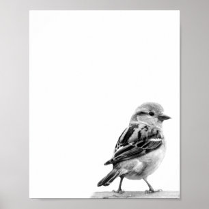 かわいい野鳥の写真 ポスター