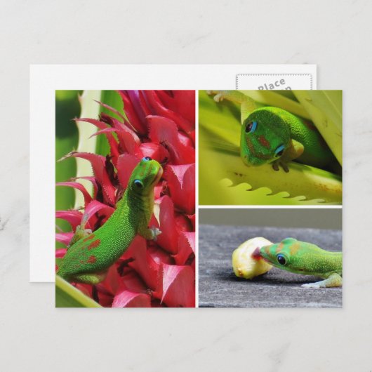 かわいい金ゴールドのダストデイgeckoピンクのパイナップルハワイ ポストカード (正面/裏面)